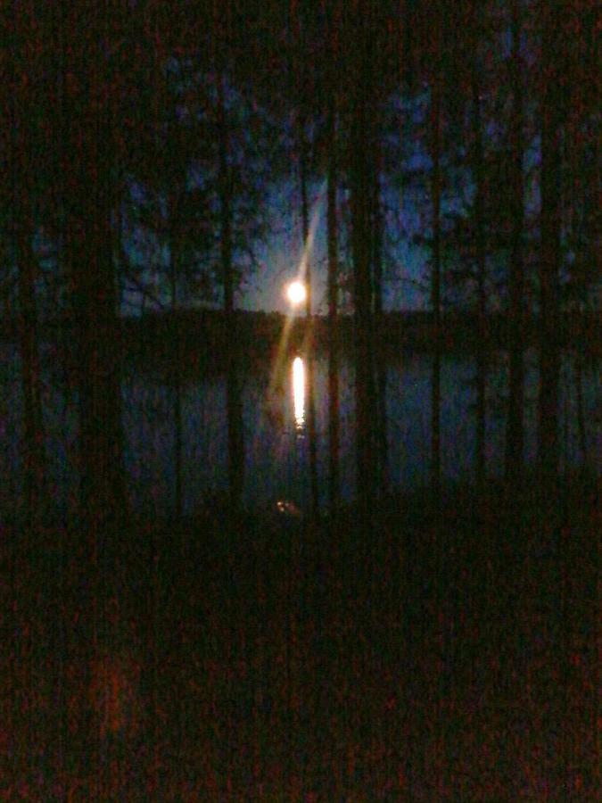 Villa Nina Luikonlahti Bagian luar foto